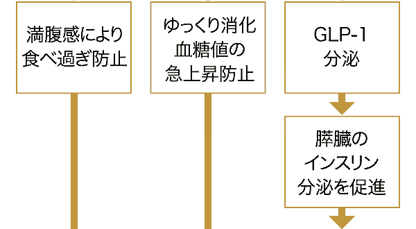 摂取による効果3
